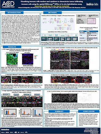 Thumbnail image of Visualizing immune cells with RNascope Hiplex v2 poster