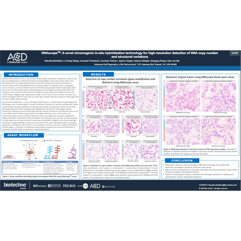 DNAscope™ : A novel chromogenic in-situ hybridization technology for high-resolution detection of DNA copy number and structural variations