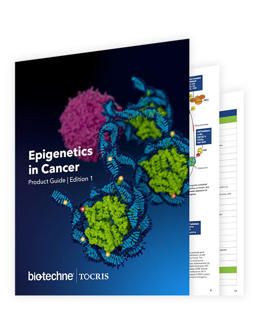 A guide to Epigenetics in Cancer research, including key products that can be used for the main epigenetic targets