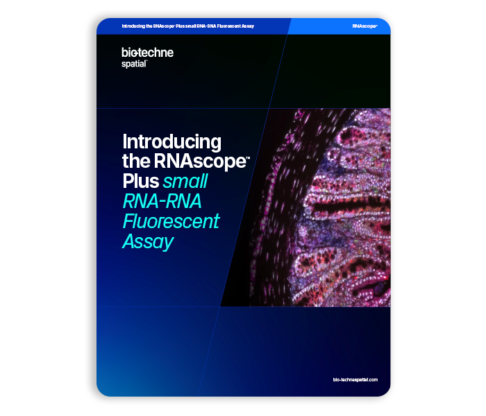 Introducing the RNAscope Plus Small RNA-RNA Fluorescent Assay Thumbnail