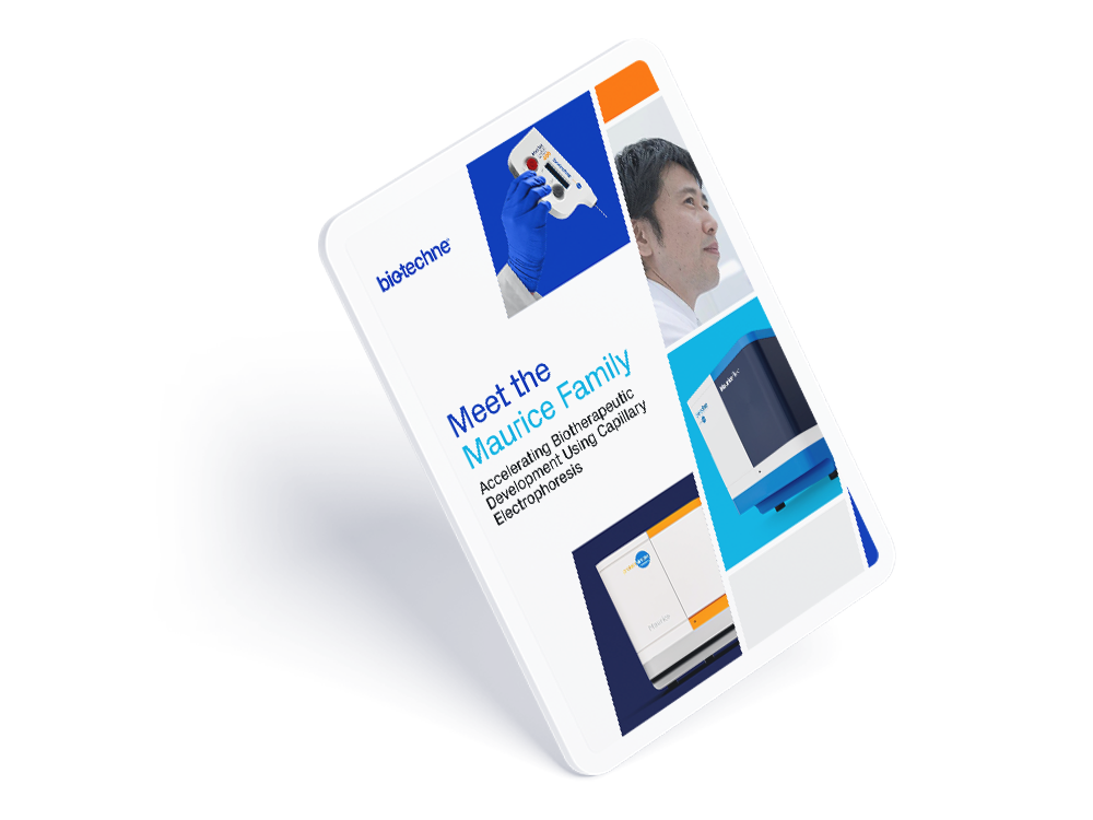 Maurice Brochure thumbnail