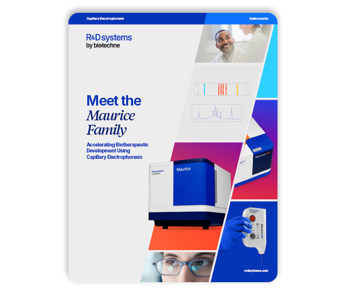 Maurice Family Brochure