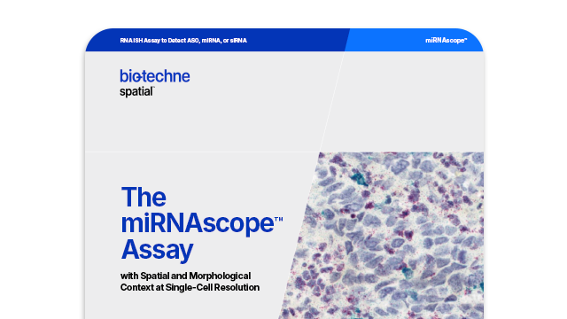 miRNAscope Assay Brochure Card
