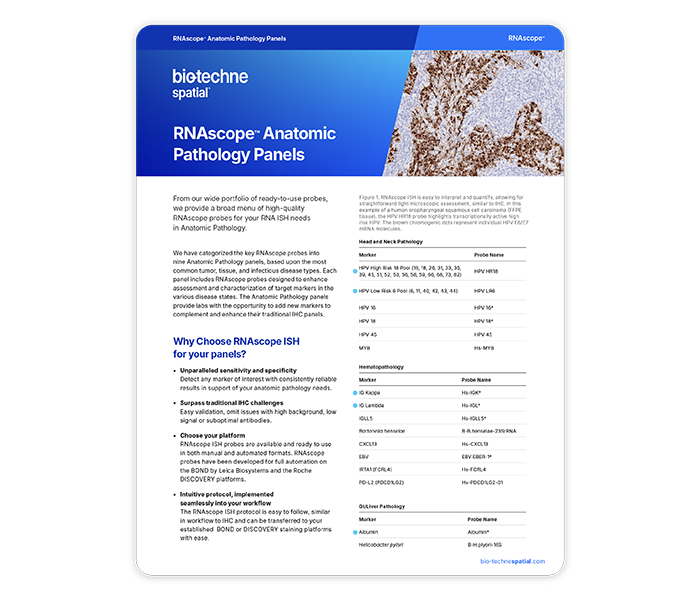 Anatomic Pathology RNAScope