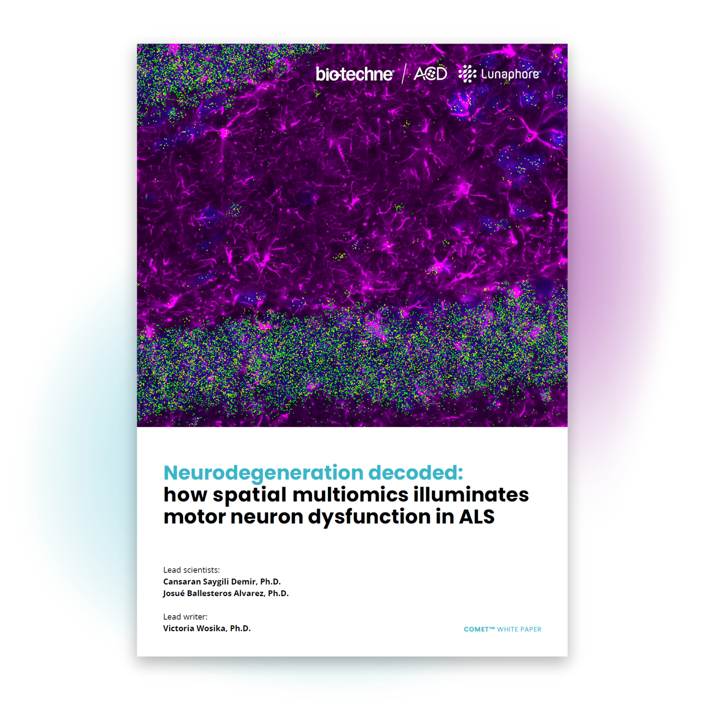 neuro spatial multiomics in ALS white paper thumbnail