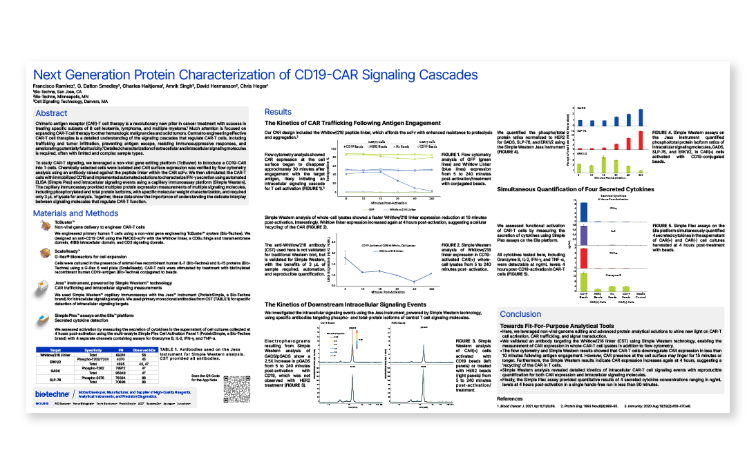 Next Generation Protein Characterization of CD19-CAR Signaling Cascades Poster