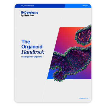 The Organoid Handbook Rebranded Banner Frontimg