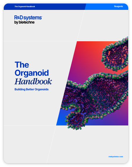 The Organoid Handbook Rebranded Image