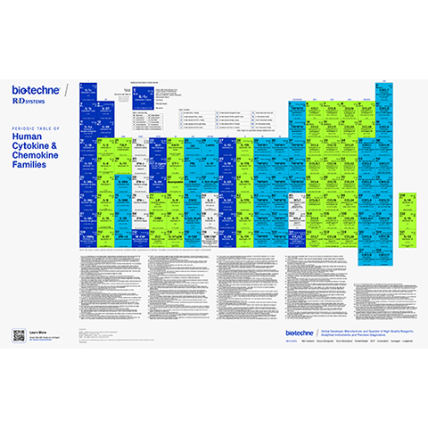 Bio-Techne’s Periodic Table of Human Cytokine and Chemokine Families poster 