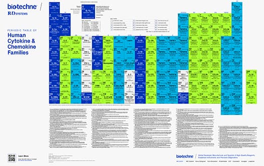 Bio-Techne’s Periodic Table of Human Cytokine and Chemokine Families poster 