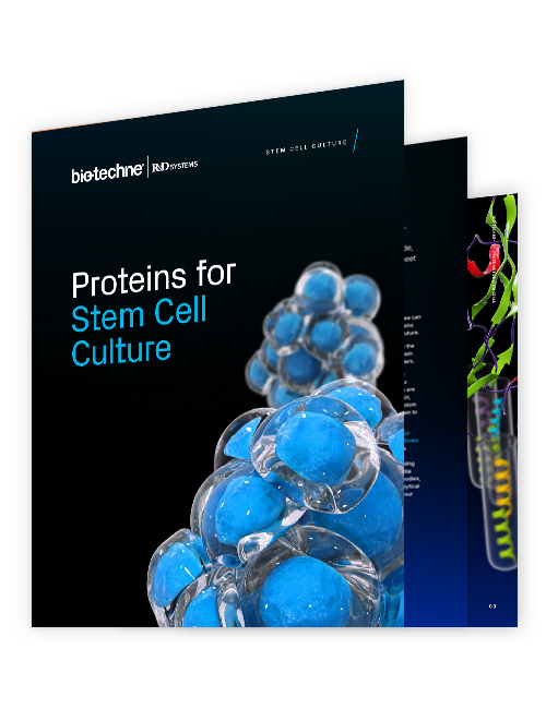 Proteins for Stem Cell Culture Guide