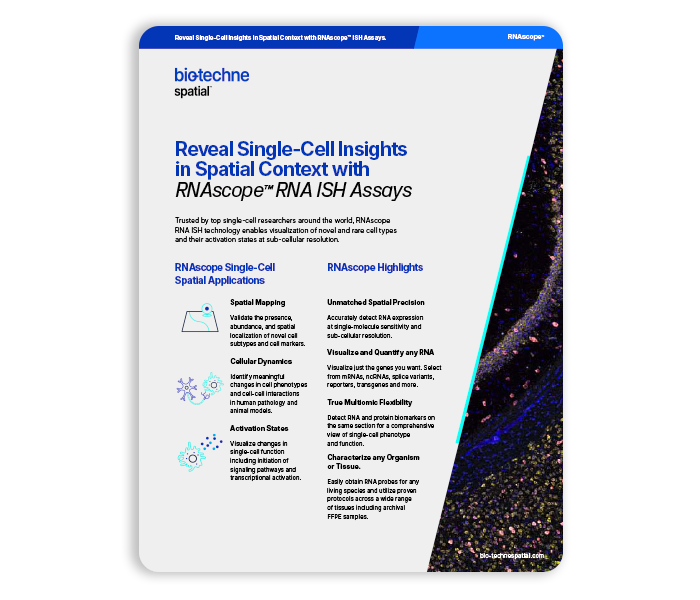 Reveal Single Cell Insights in Spatial Context Flyer Literature Thumbnail