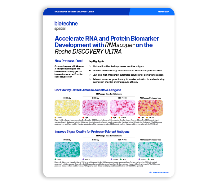 RNAscope on Roche Discovery Ultra Flyer Thumbnail