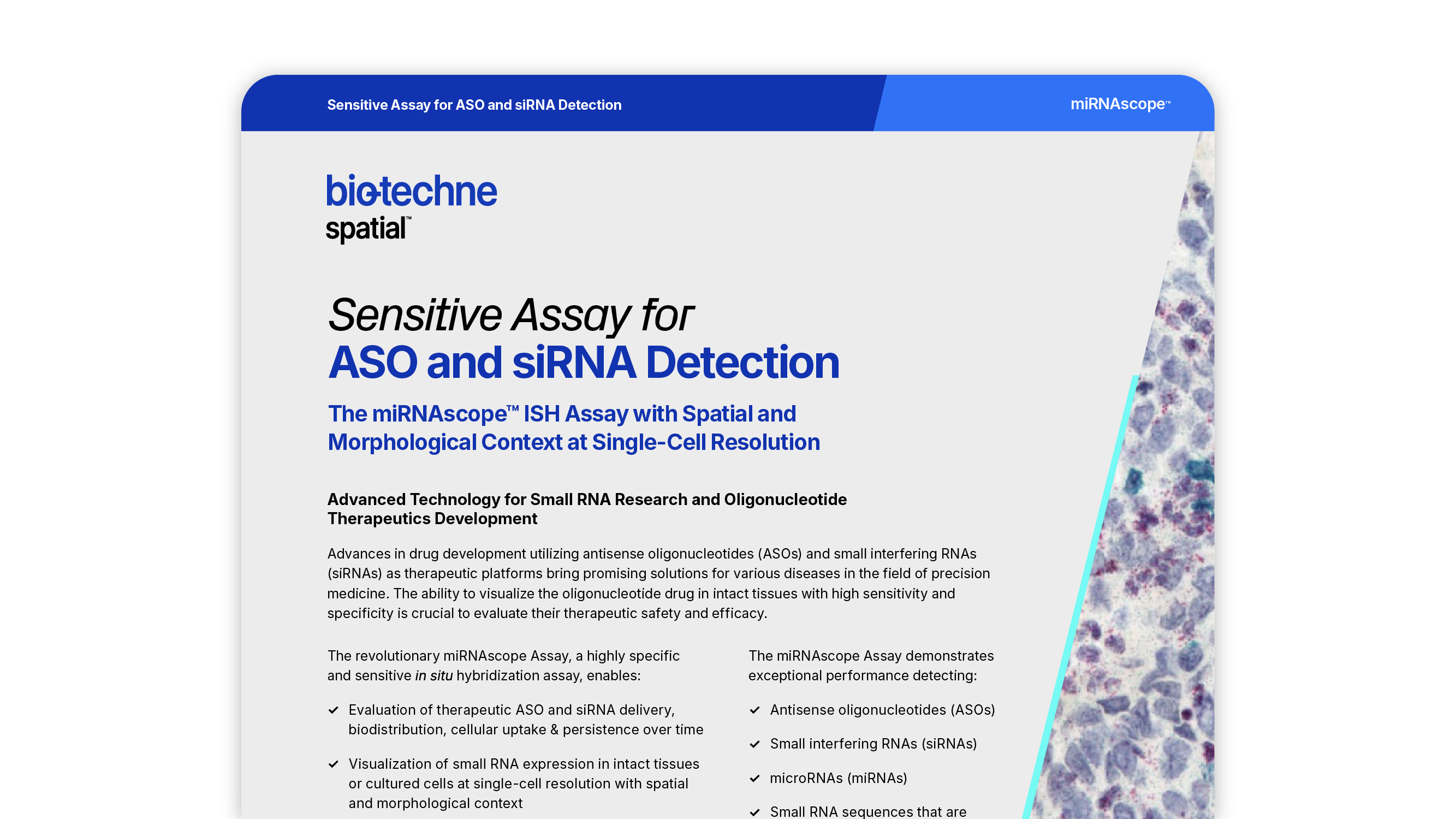Sensitive assay for ASO and siRNA Detection Card