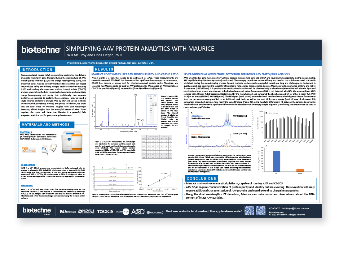 Simplifying AAV Protein Analytics with Maurice