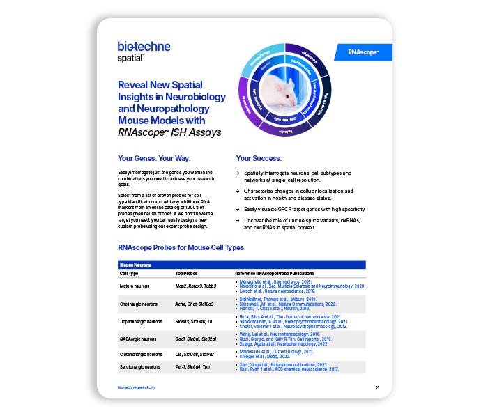 Reveal New Spatial Insights in Neurobiology and Neuropathology Mouse Models with RNAscope™ ISH Assays
