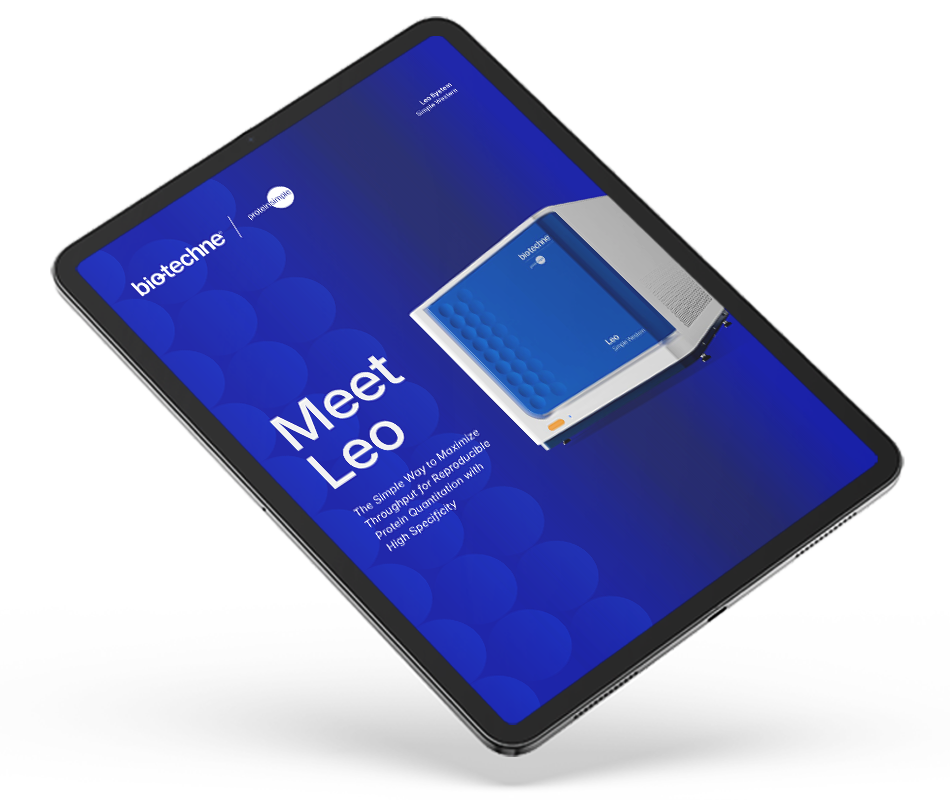 Preview image of Meet Leo brochure on an ipad device