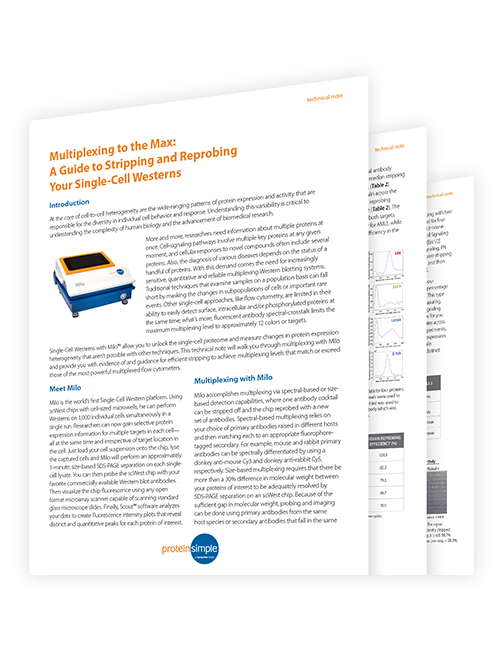 Tech Note Stripping and Reprobing Milo Single Cell Western Thumbnail