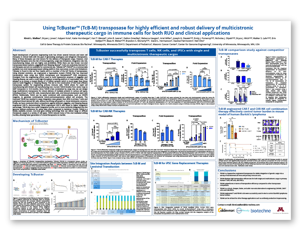 Efficient and robust delivery of multicistronic therapeutic cargo in immune cells using TcBuster-M transposase scientific poster