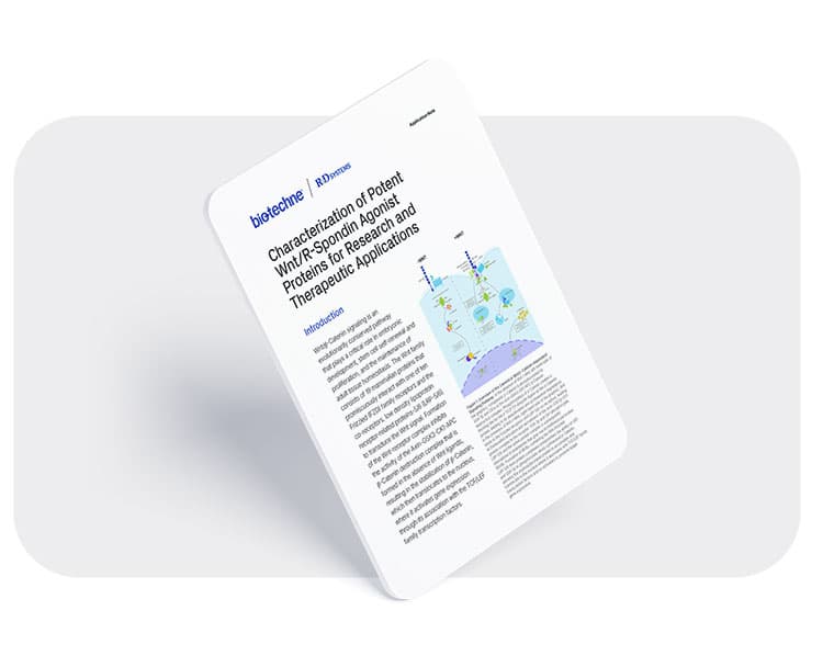 cover of the Wnt/R-Spondin Agonist Proteins Application Note