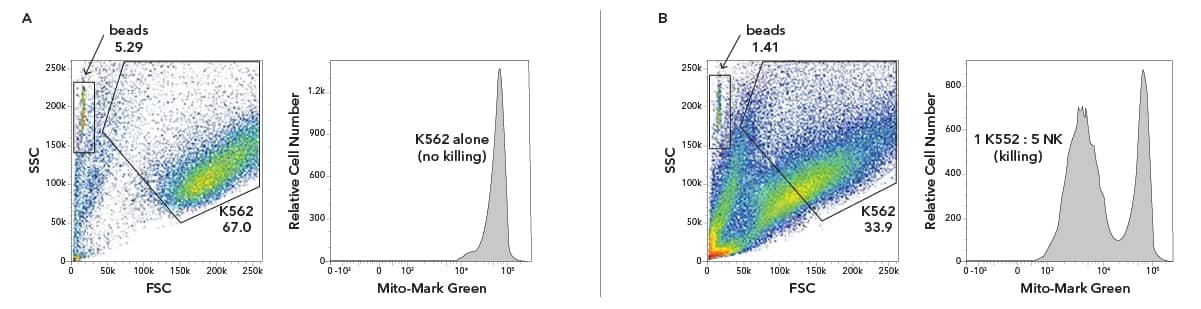 SSC and FSC plots showing NK cells cultured and assessed for killing with Mito-Mark Green-labeled K562 cells and Janelia Fluor 406-labeled NK cells. Cell Counts were normalized with Absolute Rainbow Cell Counting Particles across different K562:NK ratios 