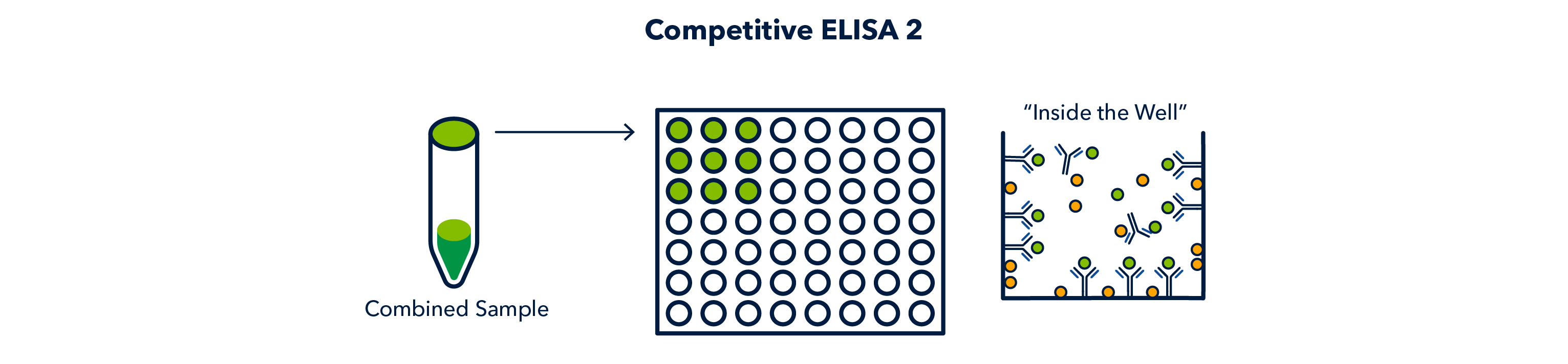 Competitive ELISA 2 figure