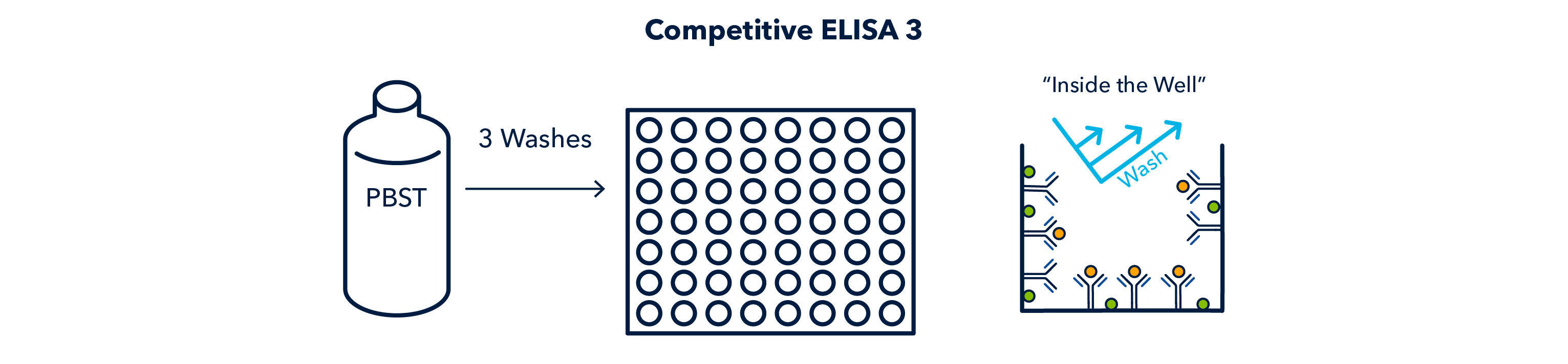 Competitive ELISA 3 figure