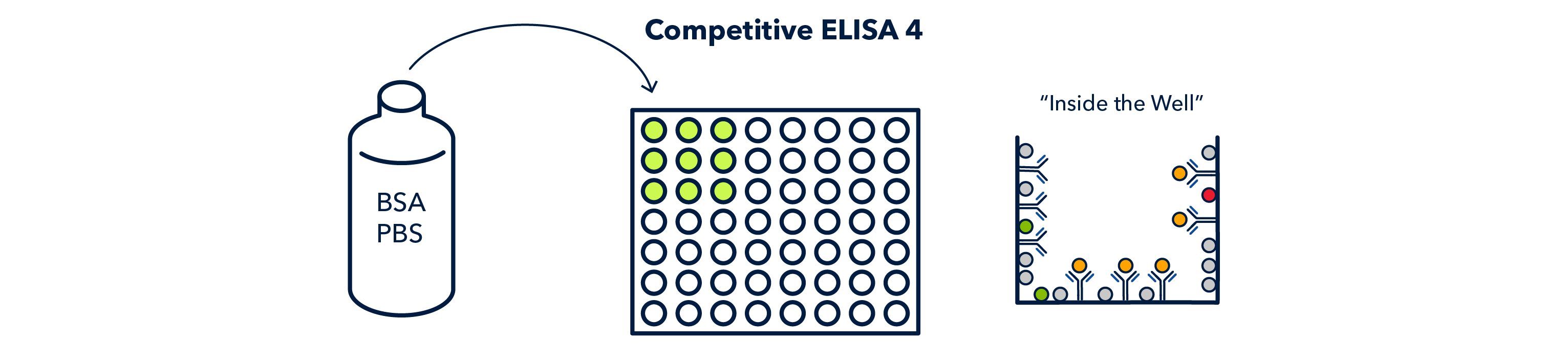 Competitive ELISA 4 figure