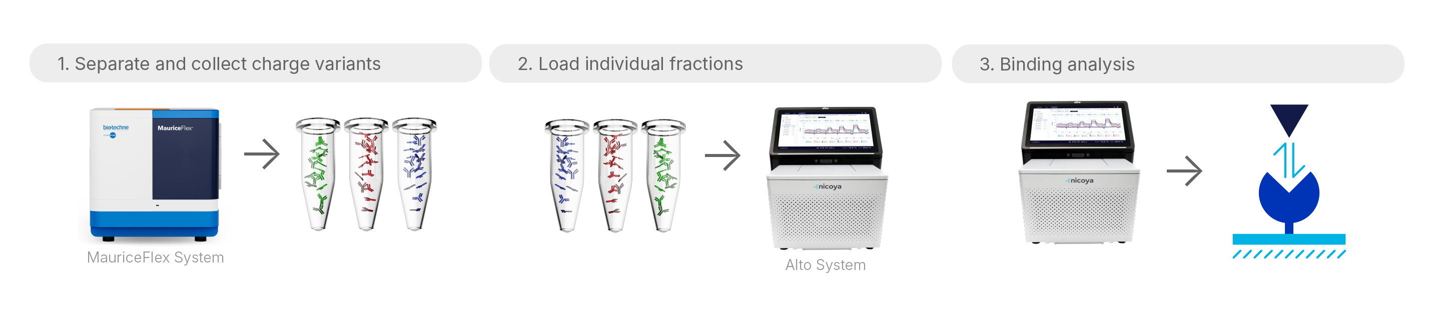 imaged capillary isoelectric focusing (icIEF) followed by SPR 