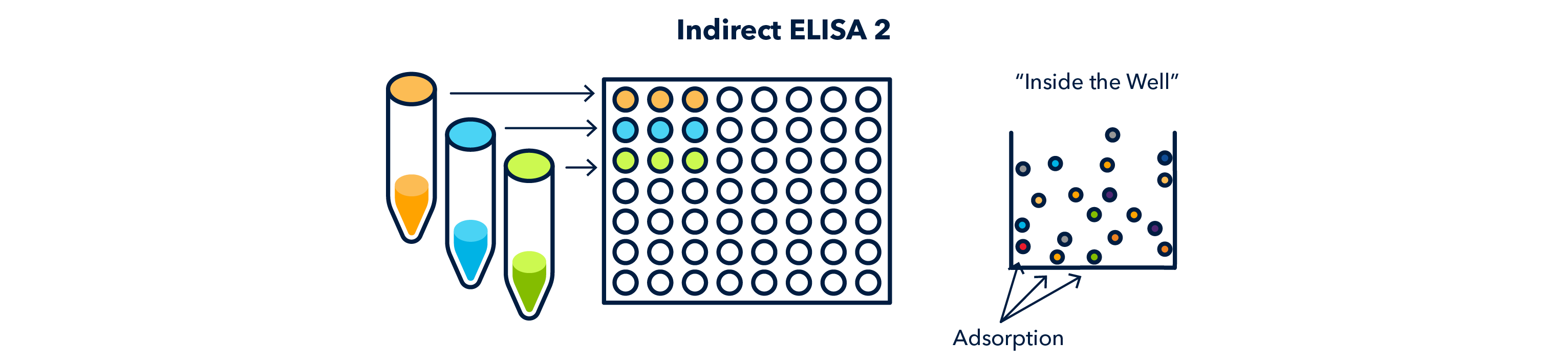 Indirect ELISA 2 Figure