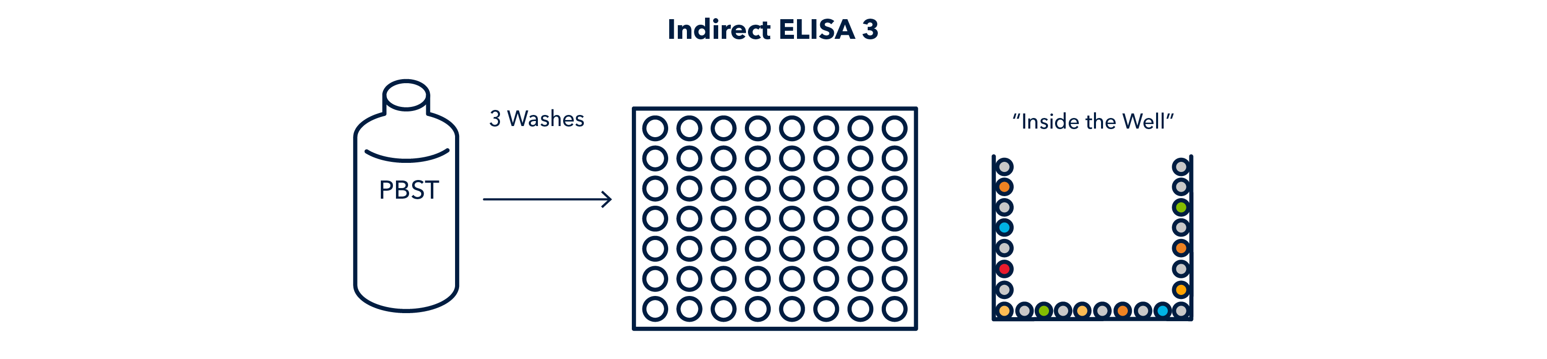 Indirect ELISA 3 Figure