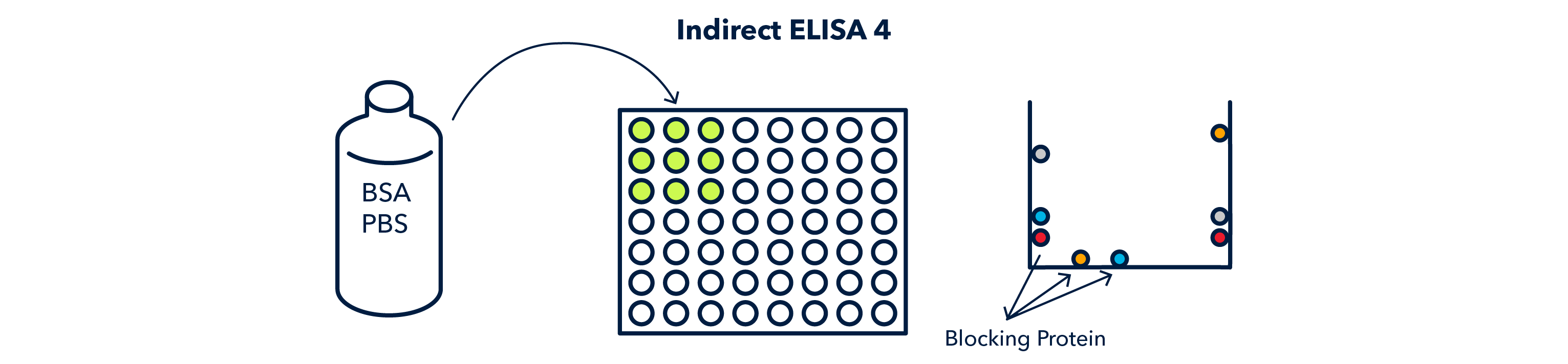 Indirect ELISA 4 Figure