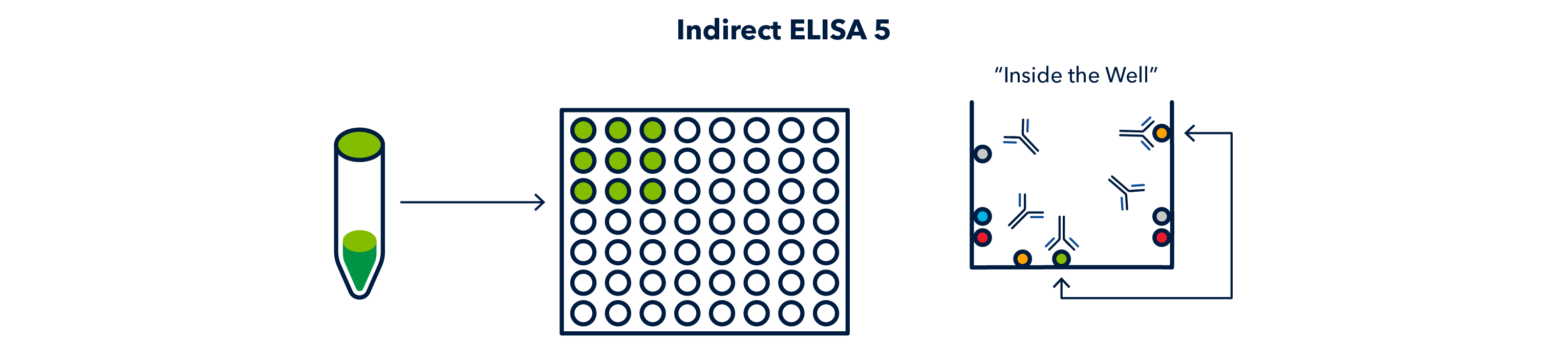 Indirect ELISA 5 Figure