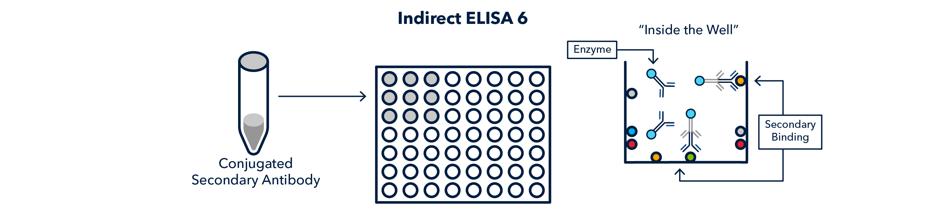 Indirect ELISA 6 Figure