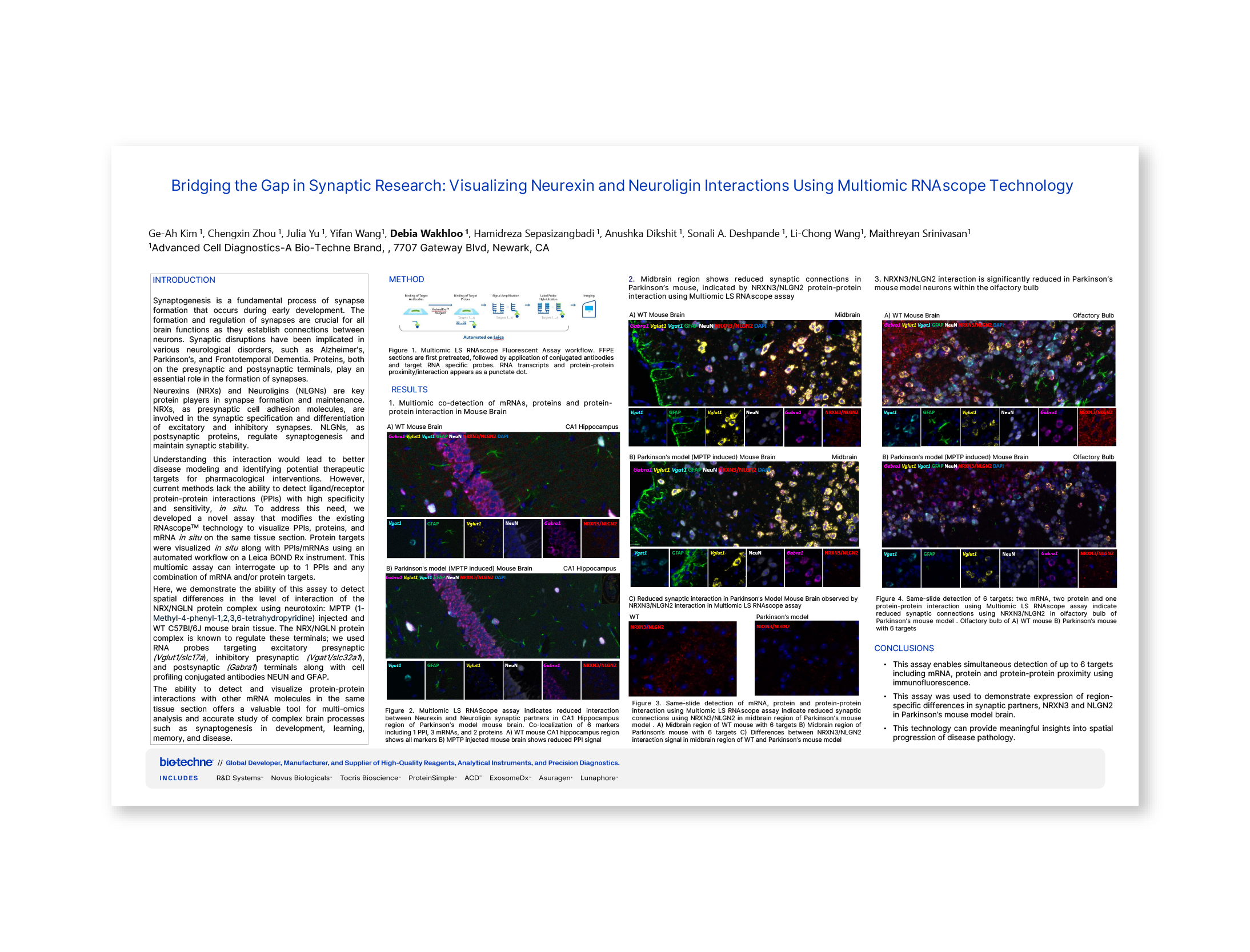 Bridging the Gap in Synaptic Research: Visualizing Neurexin and Neuroligin Interactions Using Multiomic RNAscope™ Technology