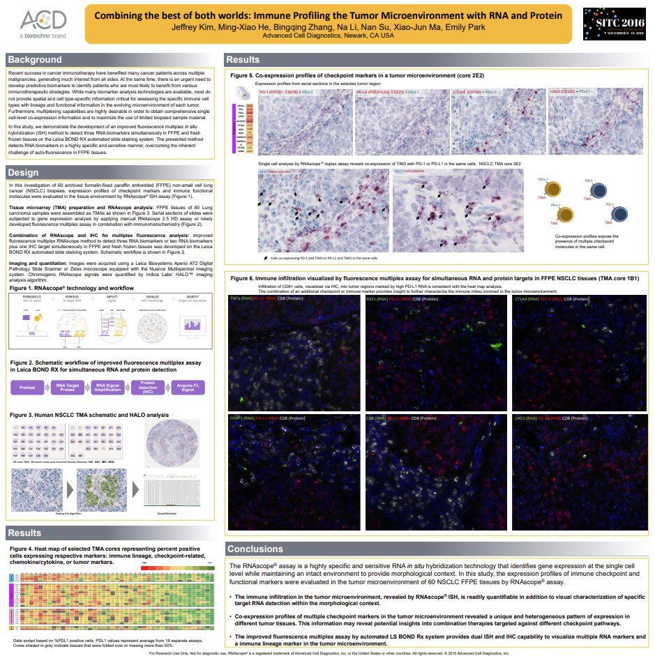 Combining the best of both worlds: Immune Profiling the Tumor Microenvironment with RNA and Protein