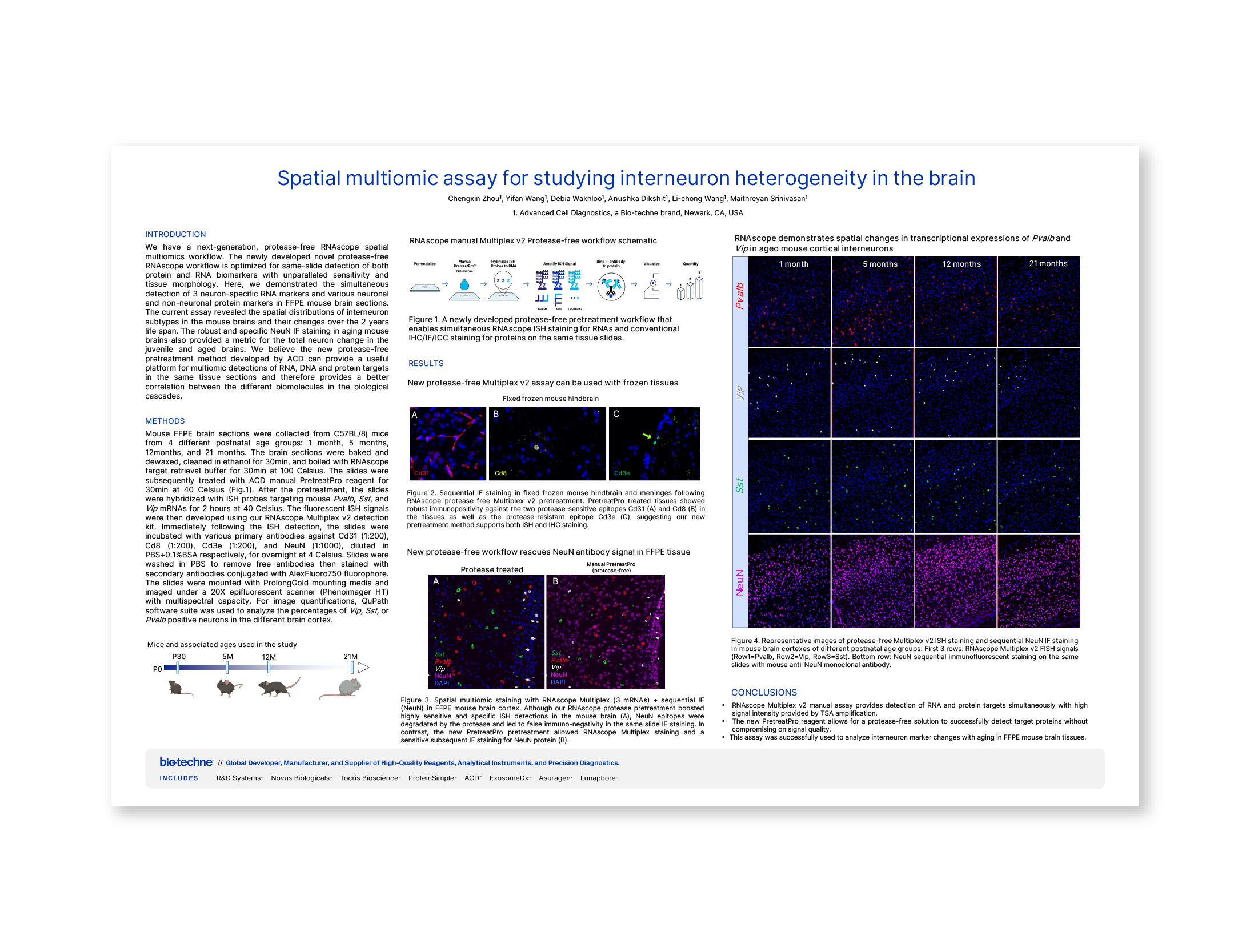 Spatial Multiomic Assay for Studying Interneuron Heterogeneity in the Brain thumb