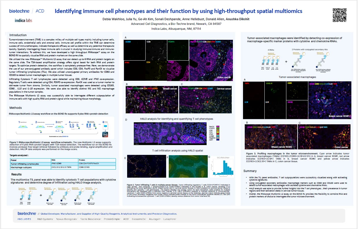 AACR 2025 Poster 2 - RNAscope Multiomics with HALO