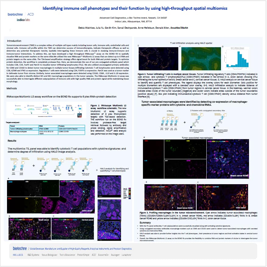 AAI 2025 Poster 1 - RNAscope Multiomic LS with HALO