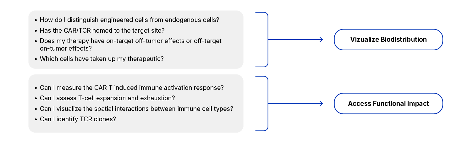 Critical Questions in Cell Therapy 