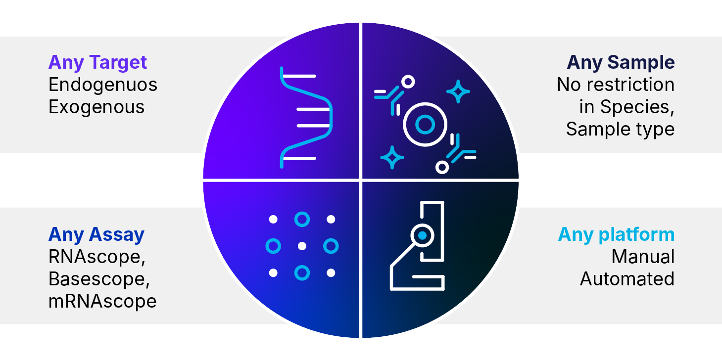 RNAscope probe design