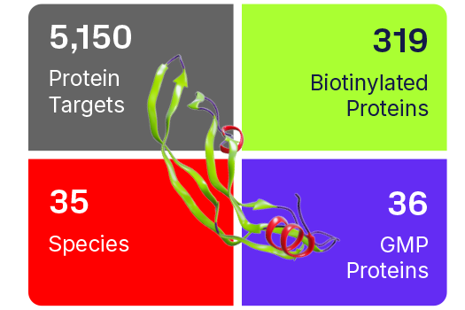 Custom Protein Services Image 525x350