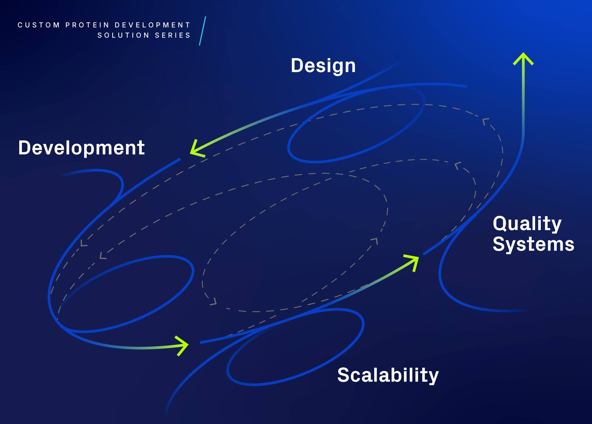 illustration of custom protein services - series of solutions
