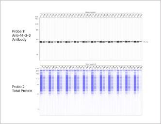 Detect up to 8 targets per sample with Leo’s resampling capability