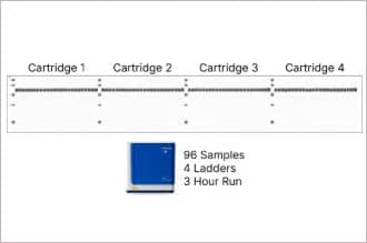 Leo maximizes throughput per run, enabling more samples to be processed daily