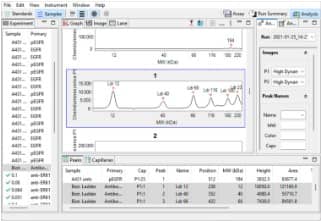 Compass Software for Simple Western 7.0 streamlines data analysis