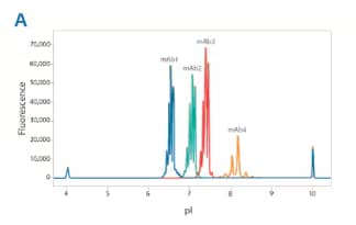 Maurice produces pI and charge heterogeneity data in less than 10 minutes, and size-based CE-SDS data in 35 minutes.