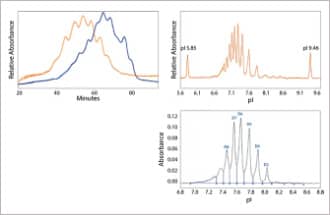 Maurice provides high-resolution characterization of charge variants using our proprietary imaged capillary isoelectric focusing (icIEF) technology