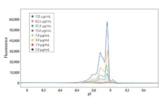 Maurice's native fluorescence detection for cIEF provides 3-5X higher sensitivity than UV absorption