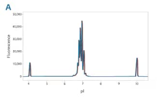 Maurice employs a prequalified, ready-to-use cartridge design which fully automates column conditioning and clean up